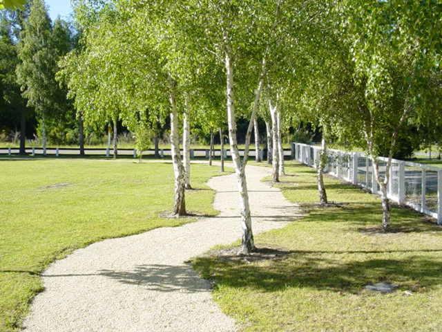 Hanmer Springs Forest Camp Trust Εξωτερικό φωτογραφία